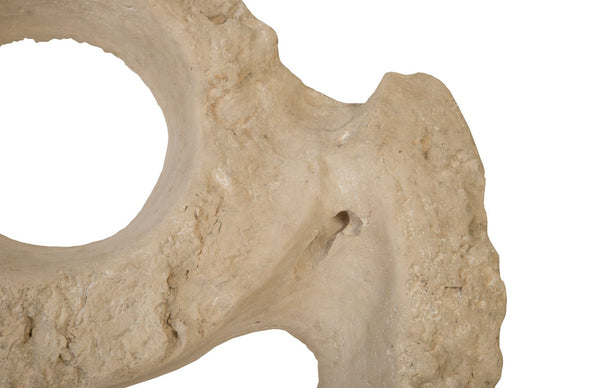 Phillips Collection Colossal Cast Stone Sculpture - Striking Modern Organic Design for Indoor and Outdoor Spaces Double Hole, Roman Stone PH94517