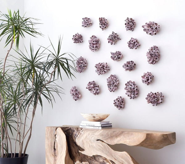 Phillips Collection Barnacle Cluster Sculptural Wall Art Coastal Organic Relief Piece for Living Room Decor PH97075