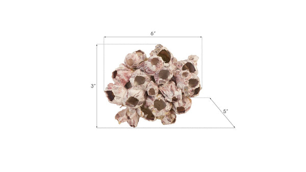 Phillips Collection Barnacle Cluster Wall Art - Coastal-Inspired Sculpture with Organic Textures for Modern Interiors MD PH97076