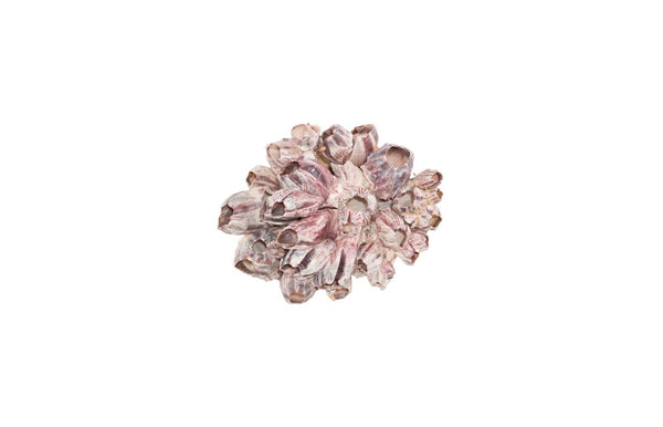 Phillips Collection Barnacle Cluster Wall Art - Coastal-Inspired Sculpture with Organic Textures for Modern Interiors MD PH97076