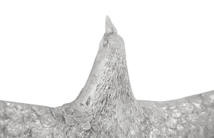 Phillips Collection Dove Wall Art, Elegant Metallic Birds For Dynamic Gallery Displays And Stunning Home Decor Silver Resin Ph97481