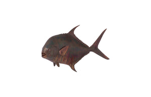 Phillips Collection Permit Fish Wall Sculpture - Coastal Charm Meets Modern Organic Design for Stunning Home Accents Resin, Copper Patina Finish PH99971