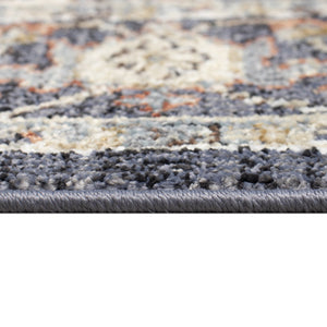 Trans Ocean Liora Manne Ariana Heriz Indoor Area Rug - Elegant Traditional Floral Design For Stylish Spaces Navy Polypropylene Arnr8922233