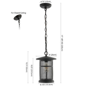 Safavieh OSPREY, 8-Inch Extendable Black Iron & Glass Outdoor Pendant Light for Elegant Illumination PLT4030A