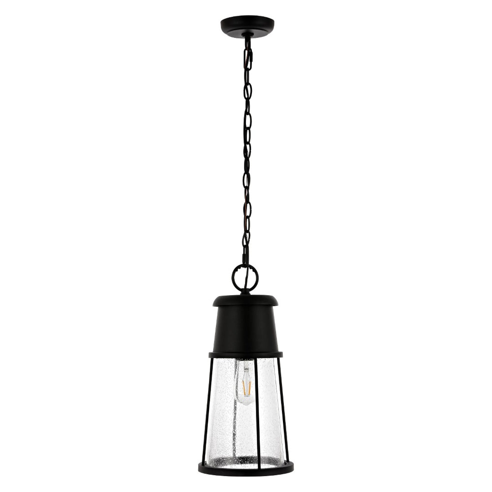 Safavieh LAELA, 8.4-Inch Black Iron & Glass Extendable Outdoor Pendant Light for Patios & Porches PLT4035A