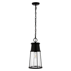 Safavieh LAELA, 8.4-Inch Black Iron & Glass Extendable Outdoor Pendant Light for Patios & Porches PLT4035A