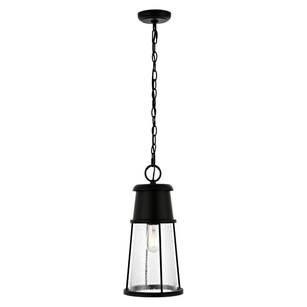 Safavieh LAELA, 8.4-Inch Black Iron & Glass Extendable Outdoor Pendant Light for Patios & Porches PLT4035A