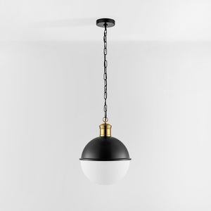 Safavieh DAYLILY, Elegant Extendable Pendant Light Fixture for Modern Interiors - Adjustable Height Design Black / Brass PND4139A