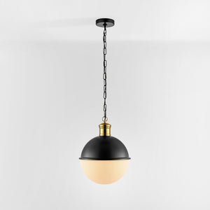 Safavieh DAYLILY, Elegant Extendable Pendant Light Fixture for Modern Interiors - Adjustable Height Design Black / Brass PND4139A