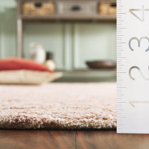 Safavieh Pine Hand Tufted Wool Accent Rug Warm Rust Ivory Traditional Bohemian Bedroom PNE109P-2