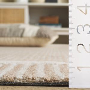 Safavieh Pine Hand-Tufted Wool Area Rug Neutral Ivory Palette Plush Pile Modern Living Room Beige 6'-0" x 9'-0" PNE301B-6