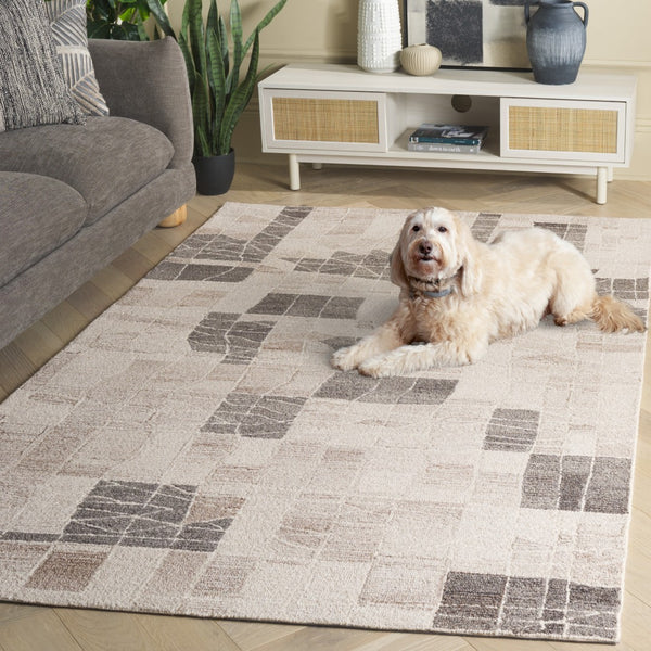 Safavieh Pine Luxurious Hand-tufted Area Rug - Modern Design For Stylish Home Decor And Comfort Underfoot Ivory ,Light Brown 80% Wool,10% Cotton,10% Latex Pne804t-4