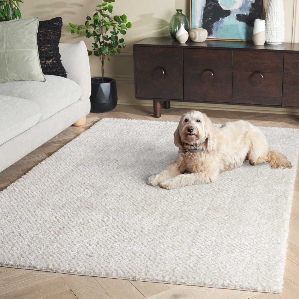 Safavieh Penelope Shag Area Rug In Ivory - Luxurious 5'3" X 7'6" Turkish Design For Timeless Elegance Ivory 73% Polyester,27% Jute Pnl500a-5
