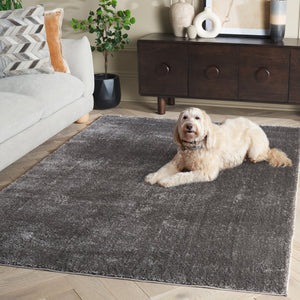 Safavieh Penelope Luxurious Shag Runner Rug - Plush Comfort, Timeless Elegance For Modern And Traditional Spaces Grey 73% Polyester,27% Jute Pnl540f-4