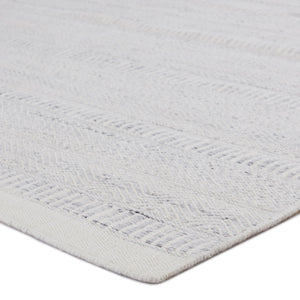Jaipur Living Jaipur Living Parson Handwoven Tribal Flat Weave Rug for Indoor Outdoor Spaces 4'X6' RUG150864