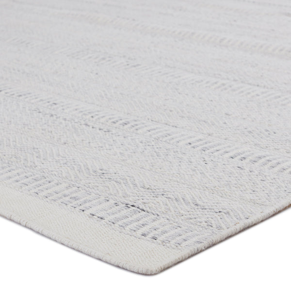 Jaipur Living Jaipur Living Parson Handwoven Tribal Flat Weave Rug for Indoor Outdoor Spaces 4'X6' RUG150864