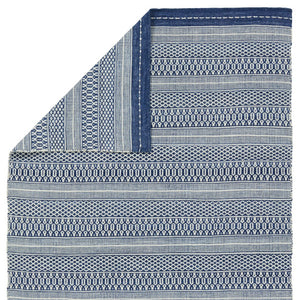 Jaipur Living Penrose Lenna Pnr06 Handwoven Handmade 100% Polyester Lines Stripes Outdoor Rug Blue, White 100% Polyester Rug159269