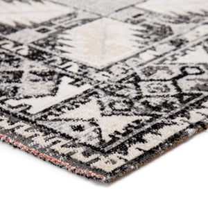 Jaipur Living Jaipur Living Paloma Polypropylene Tribal Medallion Rug for Indoor Outdoor Spaces 5'3" x 7'6" RUG142956