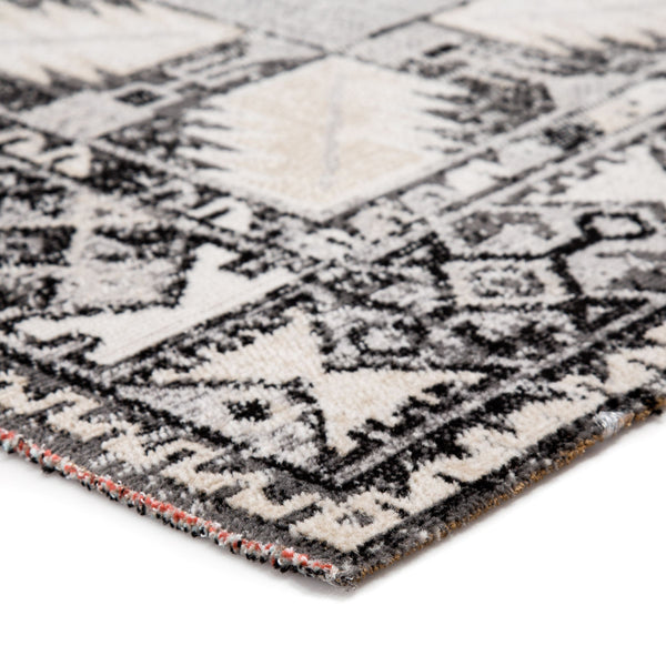 Jaipur Living Jaipur Living Paloma Polypropylene Tribal Medallion Rug for Indoor Outdoor Spaces 5'3" x 7'6" RUG142956