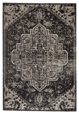 Jaipur Living Jaipur Living Ellery Polypropylene Serapi Medallion Rug for Indoor Outdoor Spaces 8'10"X12' RUG149156