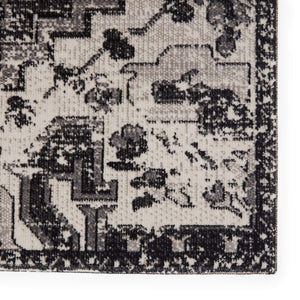 Jaipur Living Jaipur Living Ellery Polypropylene Serapi Medallion Rug for Indoor Outdoor Spaces 8'10"X12' RUG149156