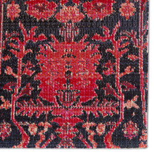Jaipur Living Jaipur Living Genesee Polypropylene Trellis Indoor Outdoor Rug Vintage Damask Pattern RUG149059