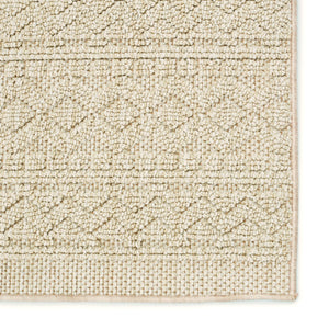 Jaipur Living Jaipur Living Paradizo Flatwoven Polypropylene Runner Tribal Trellis Beige Neutral Rug 2'6"X8' RUG152619