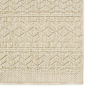 Jaipur Living Paradizo Carina Global Contemporary Machine Made Outdoor Rug Beige 9'x12'