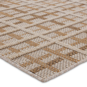 Jaipur Living Paradizo Cecily PRA06 Machine Made Powerloomed Outdoor Rug Brown 6' x 9'