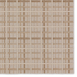 Jaipur Living Paradizo Cecily PRA06 Machine Made Powerloomed Outdoor Rug Brown 6' x 9'