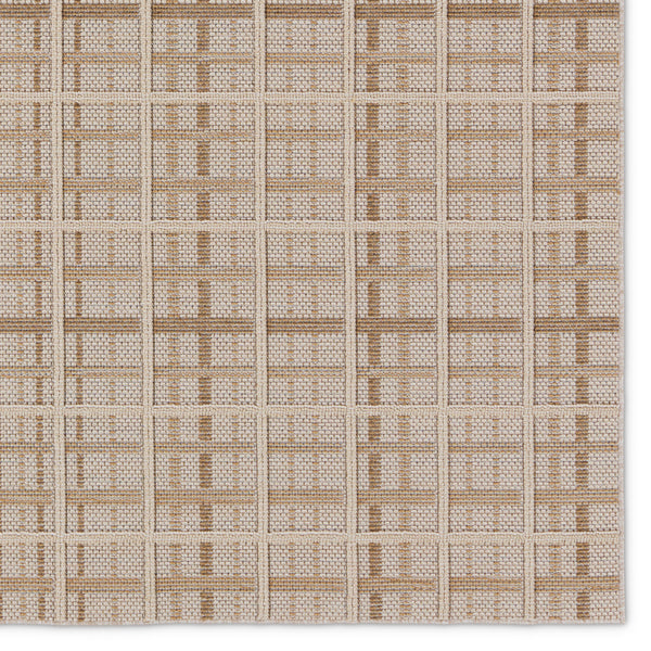 Jaipur Living Paradizo Cecily PRA06 Machine Made Powerloomed Outdoor Rug Brown 6' x 9'