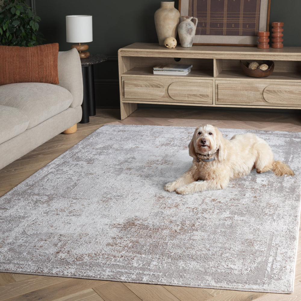Safavieh Parker 182E Grey Taupe Ivory Area Rug 6X9 — Power-Loomed Turkey Craft, Low-Profile 3/8" Pile, Durable Stylish Rug PRK182E-6