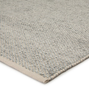 Jaipur Living Pasadena Lamanda Psd01 Handwoven Handmade 100% Polyester Solids Solid Outdoor Rug Light Gray, Beige 100% Polyester Rug146027