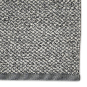 Jaipur Living Jaipur Living Lamanda Handwoven Polyester Indoor Outdoor Rug Neutral Heathered Weave 2'X3' RUG146031