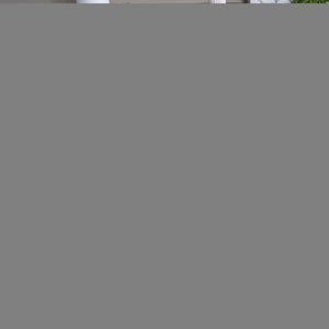 Safavieh Prestige Elegant Round Area Rug - Timeless Turkish Design For Luxury Living Spaces And Comfort Ivory ,Beige 75% Polypropylene 25% Polyester Pte132a-8