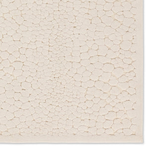 Jaipur Living Petros Verin Ptr04 Powerloomed Machinemade 100% Polyester Solids Abstract Indoor Rug Cream 100% Polyester Rug158486