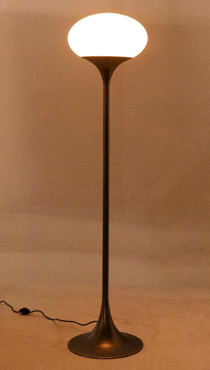 Noir Drop Floor Lamp - Elegant Gun Metal Finish, Iron Construction for Timeless Style & Ambient Lighting PZ012GM