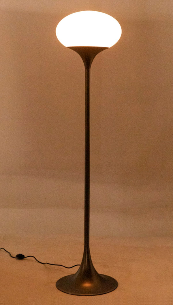 Noir Drop Floor Lamp - Elegant Gun Metal Finish, Iron Construction for Timeless Style & Ambient Lighting PZ012GM
