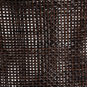 Bali & Pari Petra Handwoven Rattan Wingback Dining Chairs Coastal Boho Set of 2