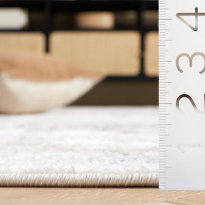 Safavieh Quincy Elegant Area Rug Runner - Transitional Design, Durable Power Loomed, Soft & Stylish Comfort Ivory ,Light Grey 50% Polyester,50% Polypropylene Qcy104a-5
