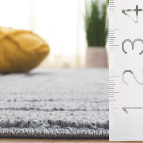 Safavieh Ramona Exquisite Area Rug - Contemporary Power Loomed Design For High-traffic Spaces, Soft Comfort Grey 65% Polyester,35% Jute Ram150g-8