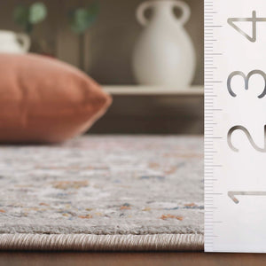 Safavieh Rana Elegant Grey/Ivory Area Rug - 5'3" X 7'6" Plush Traditional Design For Timeless Home Decor Grey ,Ivory 60% Polypropylene,40% Polyester Ran102f-5