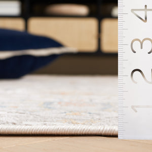 Safavieh Rana Transitional Area Rug - Elegant Power Loomed Design For Hallways, Kitchens, And Living Spaces Ivory ,Beige 60% Polypropylene,40% Polyester Ran104a-5