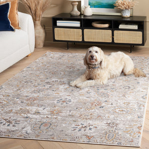Safavieh Rana Transitional Area Rug - Elegant Power Loomed Design For Hallways, Kitchens, And Living Spaces Ivory ,Beige 60% Polypropylene,40% Polyester Ran104a-5