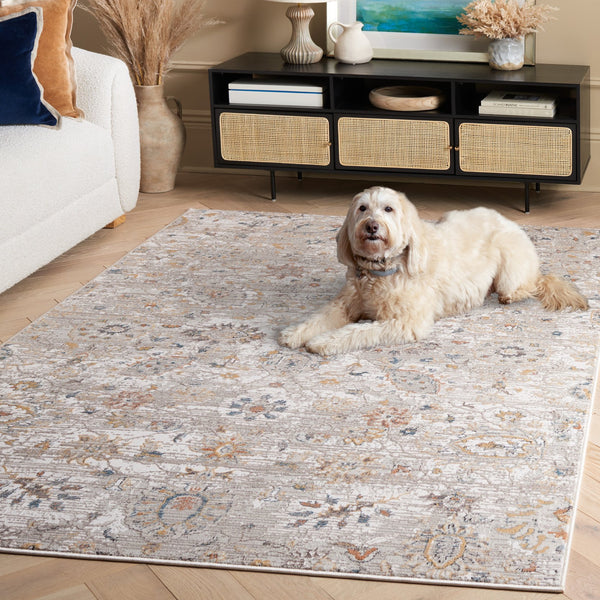 Safavieh Rana Transitional Area Rug - Elegant Power Loomed Design For Hallways, Kitchens, And Living Spaces Ivory ,Beige 60% Polypropylene,40% Polyester Ran104a-5