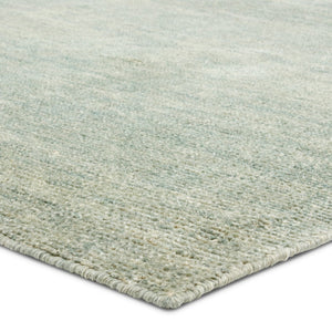 Jaipur Living Rebecca Limon Rbc13 Handwoven Handmade 100% Pet Yarn Solids Solid Outdoor Rug Green 100% Pet Yarn Rug161643
