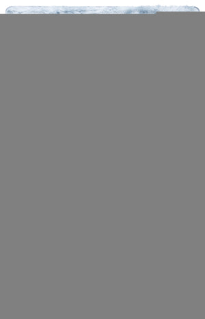 Safavieh Rainbow Shag Area Rug – Luxurious Slip-resistant Design For Stylish Home Décor Enhancement Light Grey Polyester Pile Rbo100g-3