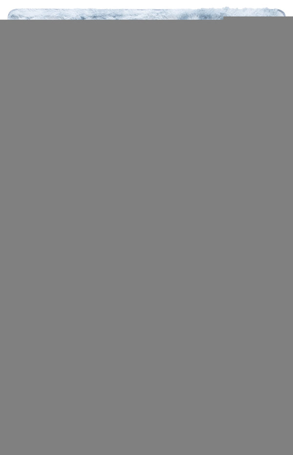 Safavieh Rainbow Shag Area Rug – Luxurious Slip-resistant Design For Stylish Home Décor Enhancement Light Grey Polyester Pile Rbo100g-3