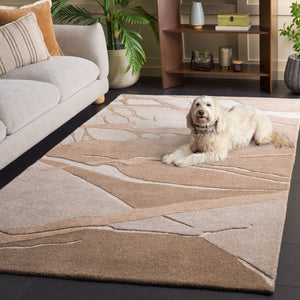 Safavieh Rodeo Drive Hand Tufted Wool Area Rug Plush Neutral Pile for Living Bedroom RD201F-5