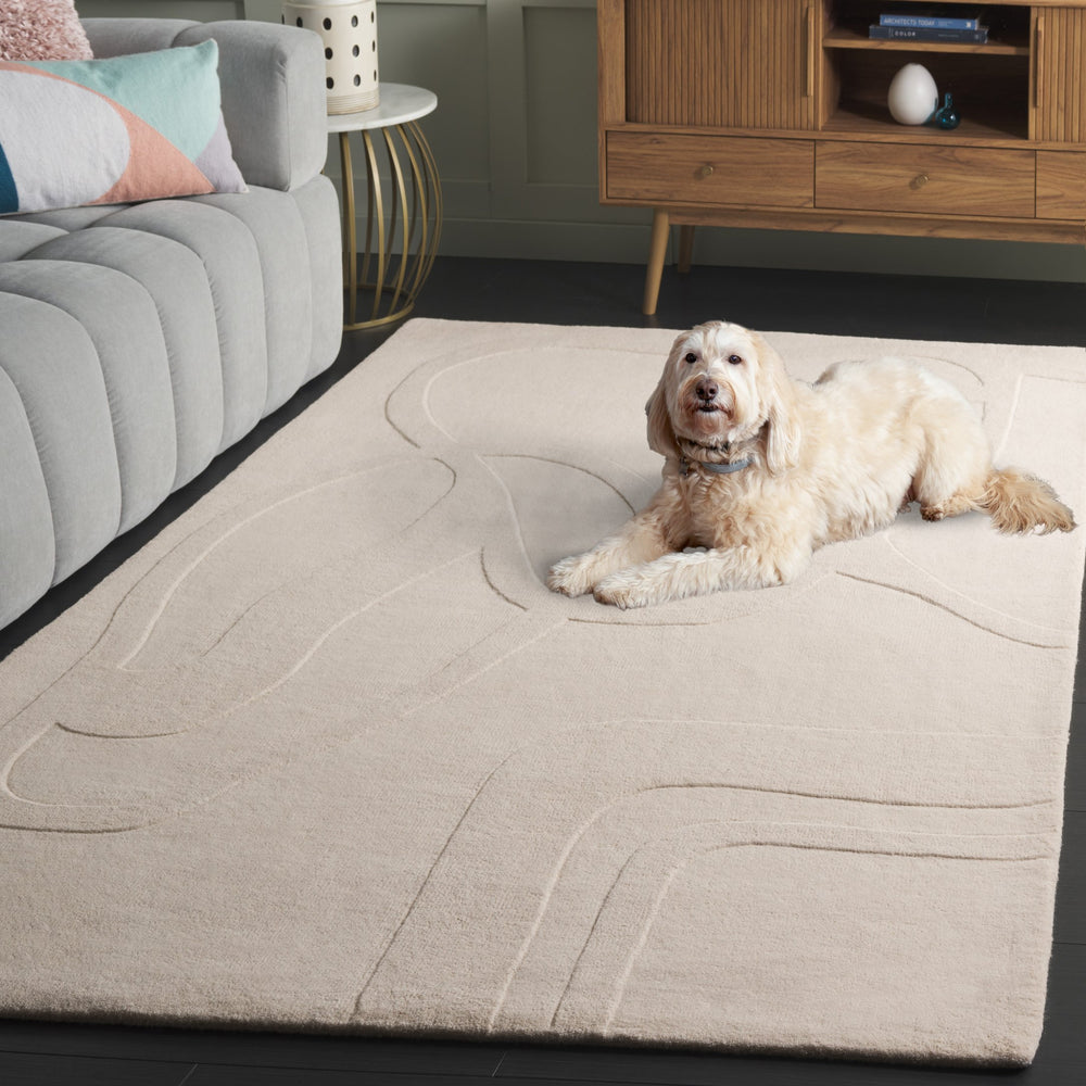 Safavieh Rodeo Drive Hand-tufted Medium Rectangle Area Rug – Luxurious Wool Blend For Timeless Elegance Ivory 90% Wool 10% Cotton Rd479a-5